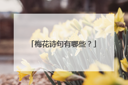 梅花诗句有哪些？