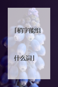 梢字能组什么词