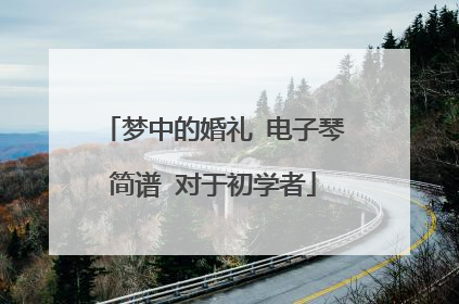 梦中的婚礼 电子琴简谱 对于初学者