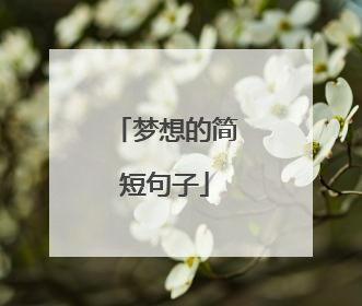 梦想的简短句子