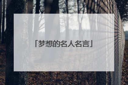 梦想的名人名言