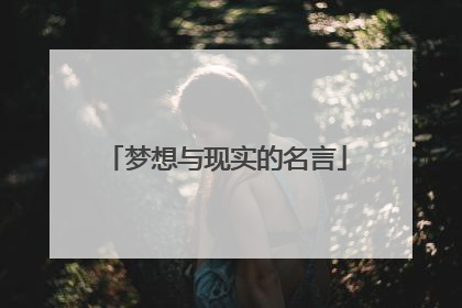 梦想与现实的名言