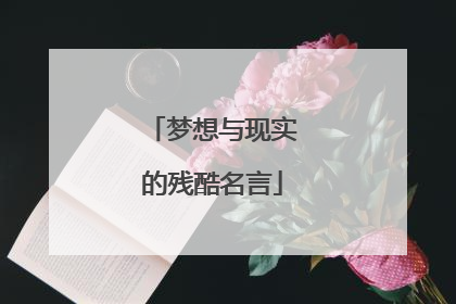 梦想与现实的残酷名言