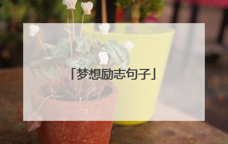 梦想励志句子
