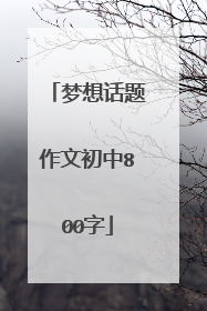 梦想话题作文初中800字