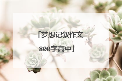 梦想记叙作文800字高中