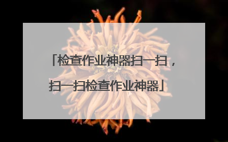 检查作业神器扫一扫,扫一扫检查作业神器