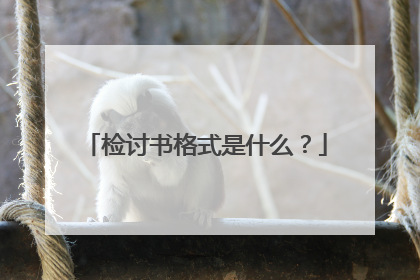 检讨书格式是什么?