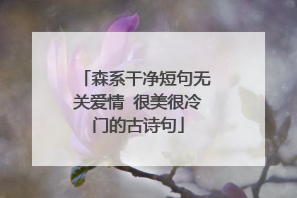 森系干净短句无关爱情 很美很冷门的古诗句