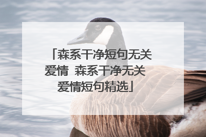 森系干净短句无关爱情 森系干净无关爱情短句精选