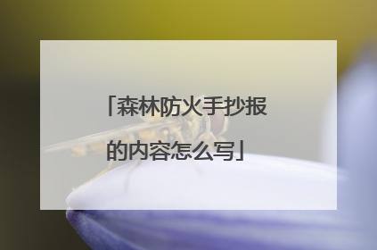 森林防火手抄报的内容怎么写