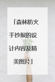 森林防火手抄报的设计内容及精美图片