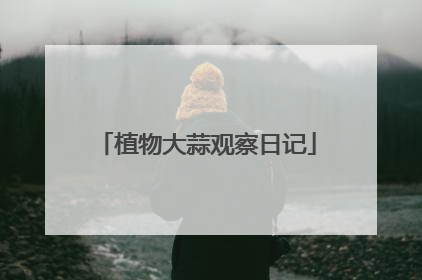植物大蒜观察日记