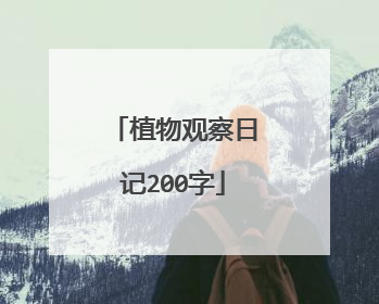 植物观察日记200字