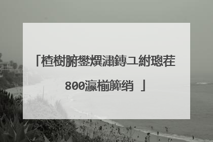 楂樹腑鐢熼潚鏄ユ紨璁茬��800瀛椾簲绡�