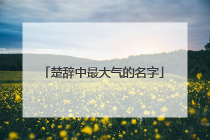 楚辞中最大气的名字