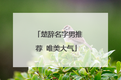 楚辞名字男推荐 唯美大气