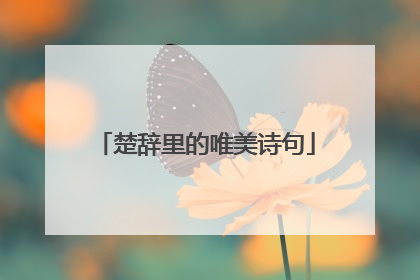 楚辞里的唯美诗句