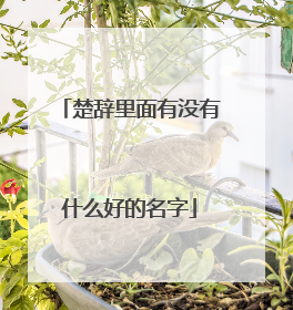 楚辞里面有没有什么好的名字