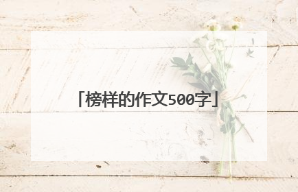 榜样的作文500字