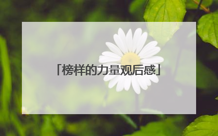 榜样的力量观后感