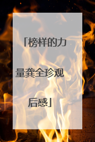 榜样的力量龚全珍观后感