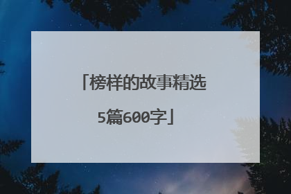 榜样的故事精选5篇600字