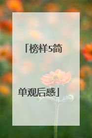 榜样5简单观后感