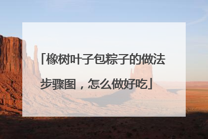 橡树叶子包粽子的做法步骤图，怎么做好吃