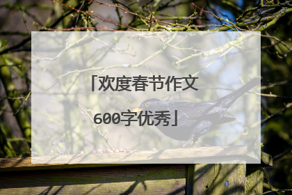 欢度春节作文600字优秀