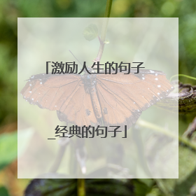 激励人生的句子_经典的句子