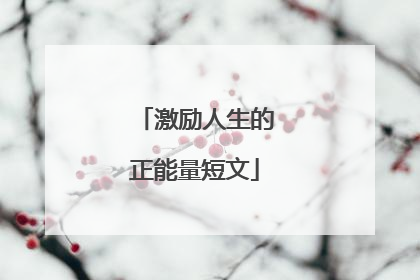激励人生的正能量短文
