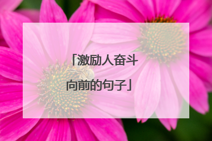 激励人奋斗向前的句子