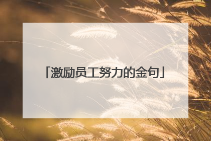 激励员工努力的金句