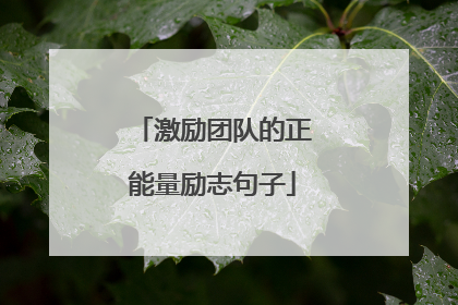 激励团队的正能量励志句子