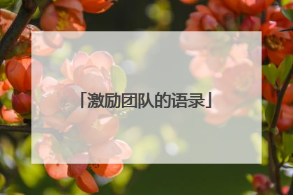 激励团队的语录