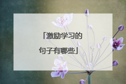 激励学习的句子有哪些