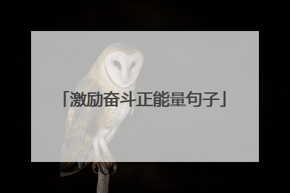 激励奋斗正能量句子