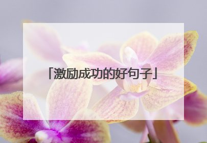 激励成功的好句子