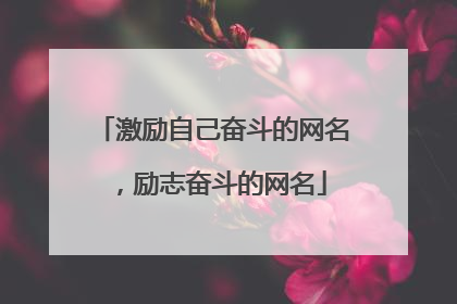 激励自己奋斗的网名，励志奋斗的网名