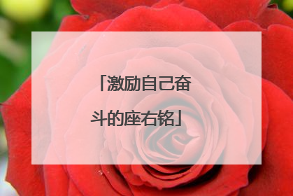 激励自己奋斗的座右铭