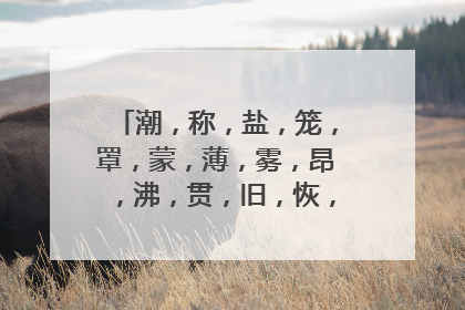 潮，称，盐，笼，罩，蒙，薄，雾，昂，沸，贯，旧，恢，同音字组词2个？