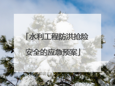 水利工程防洪抢险安全的应急预案
