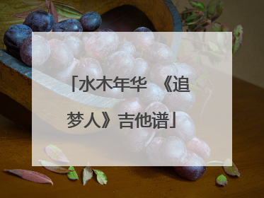 水木年华 《追梦人》吉他谱