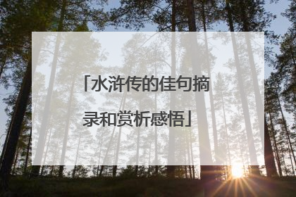 水浒传的佳句摘录和赏析感悟