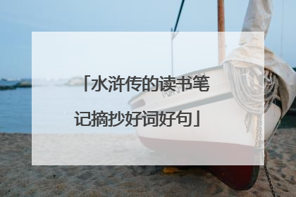 水浒传的读书笔记摘抄好词好句
