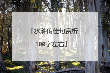 水浒传佳句赏析100字左右