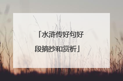 水浒传好句好段摘抄和赏析