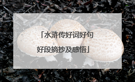 水浒传好词好句好段摘抄及感悟