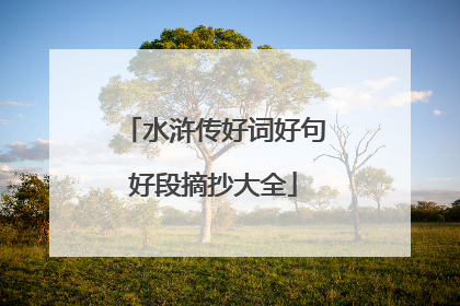 水浒传好词好句好段摘抄大全